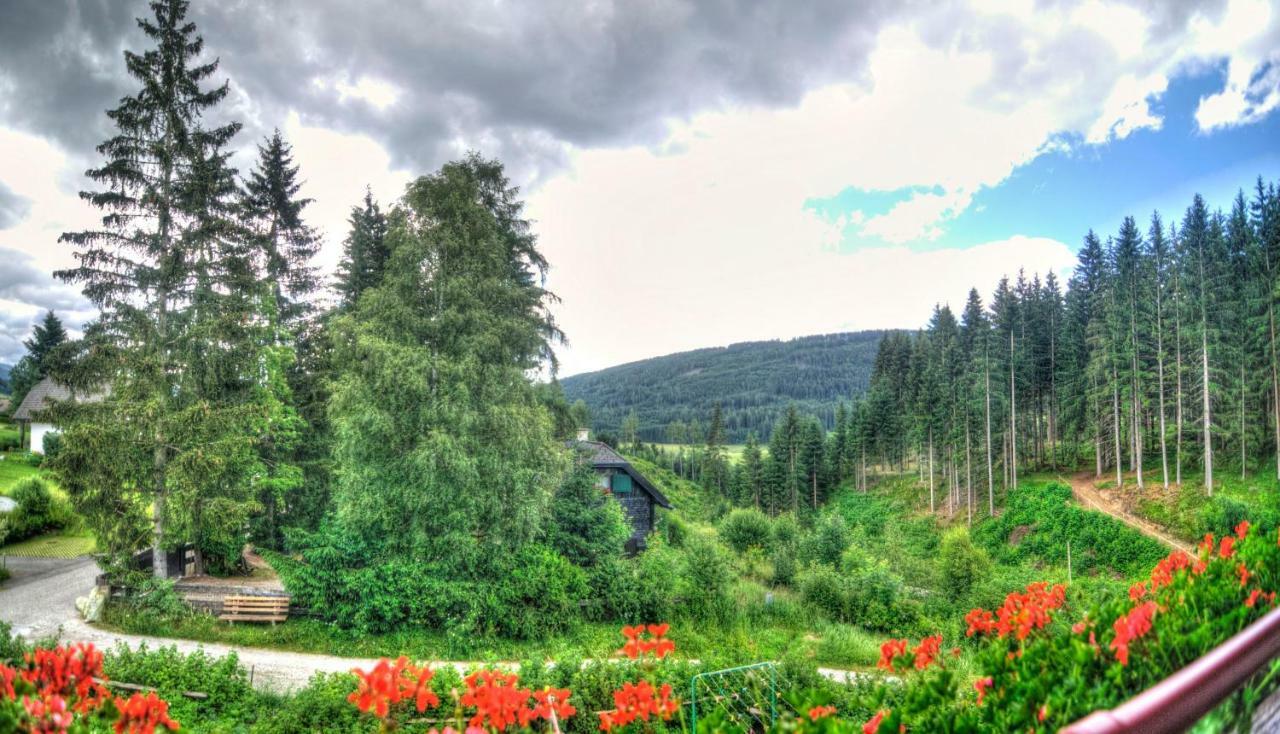 Gaestehaus Schwaiger Mariapfarr Luaran gambar